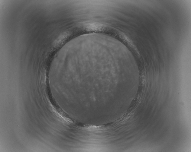 X0000078870637200612041959