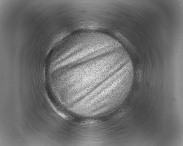 X0000078870638200612041959