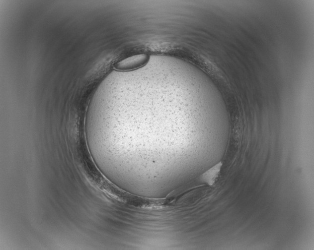 X0000078870639200612041959