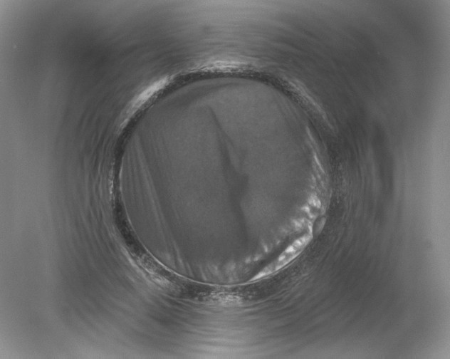 X0000078870640200612041959