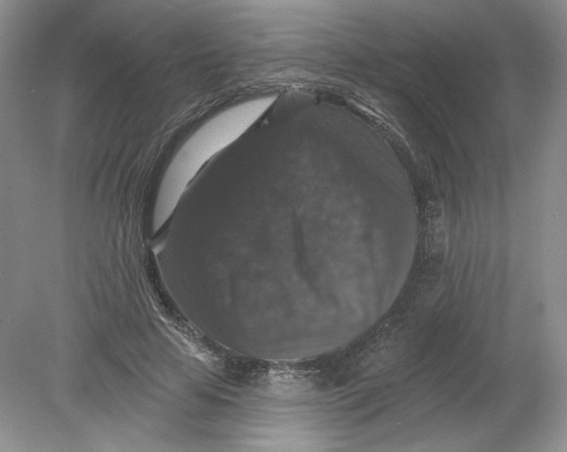 X0000078870641200612041959