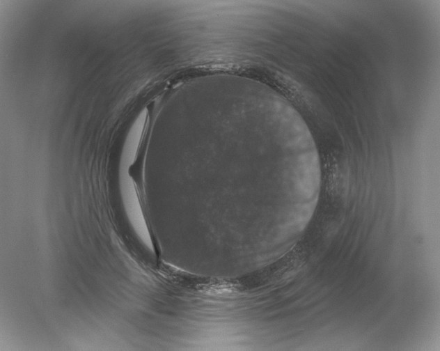 X0000078870643200612041959