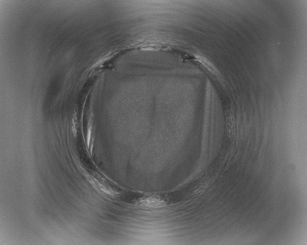 X0000078870644200612041959