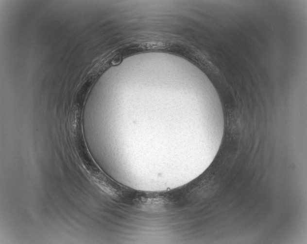 X0000078870645200612041959