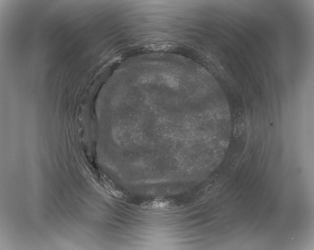 X0000078870647200612041959