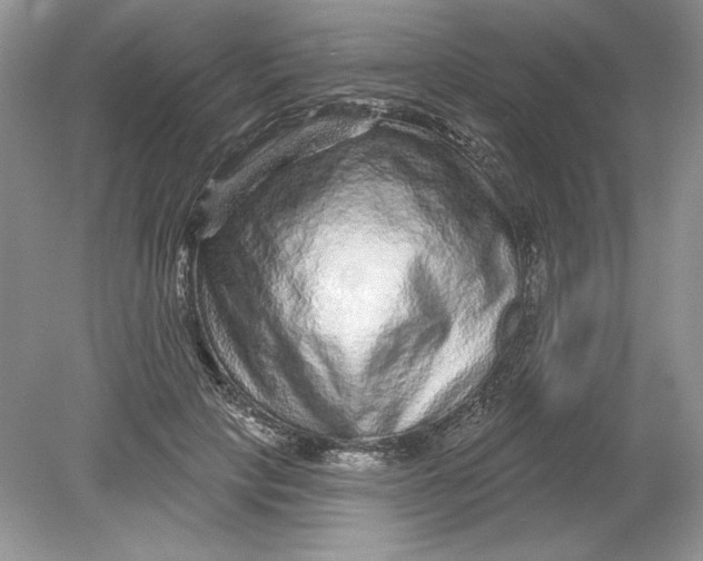 X0000078870649200612041959