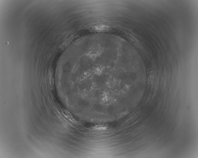 X0000078870651200612041959