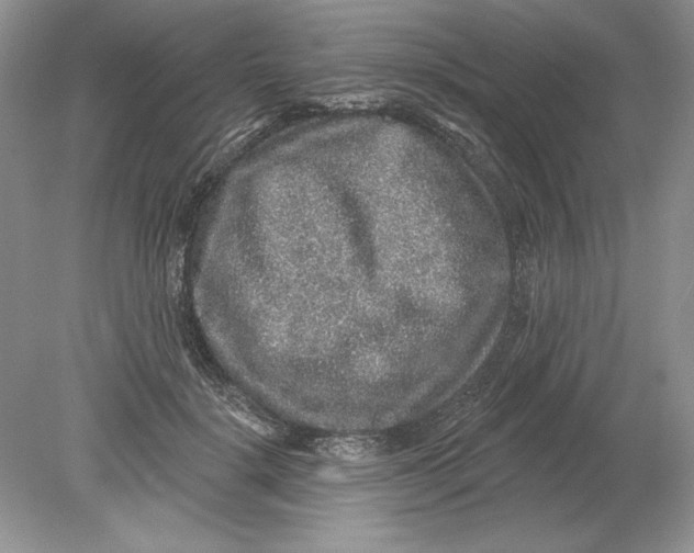 X0000078870652200612041959