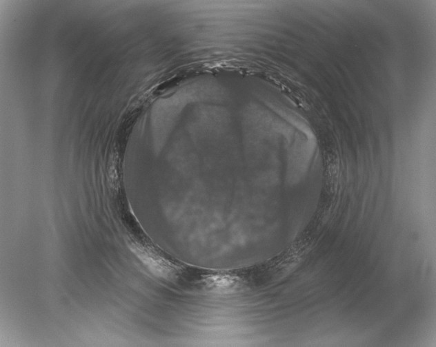 X0000078870654200612041959