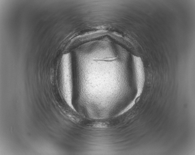 X0000078870656200612041959