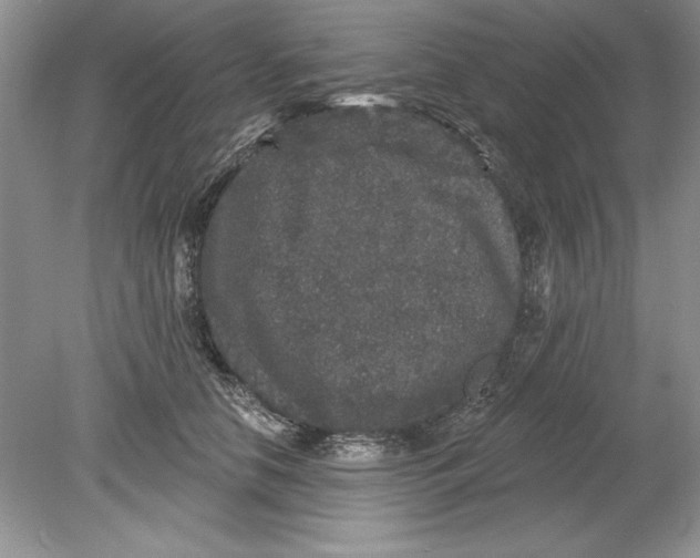 X0000078870658200612041959