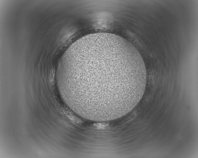 X0000078870660200612041959