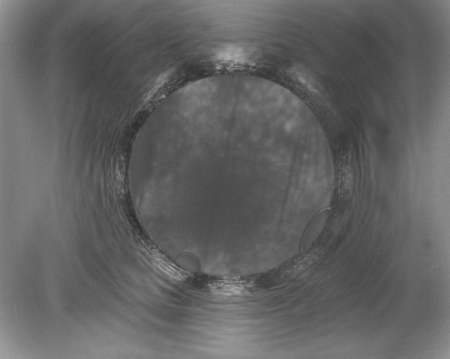 X0000078870661200612041959