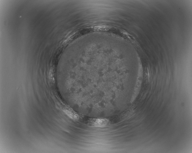 X0000078870663200612041959