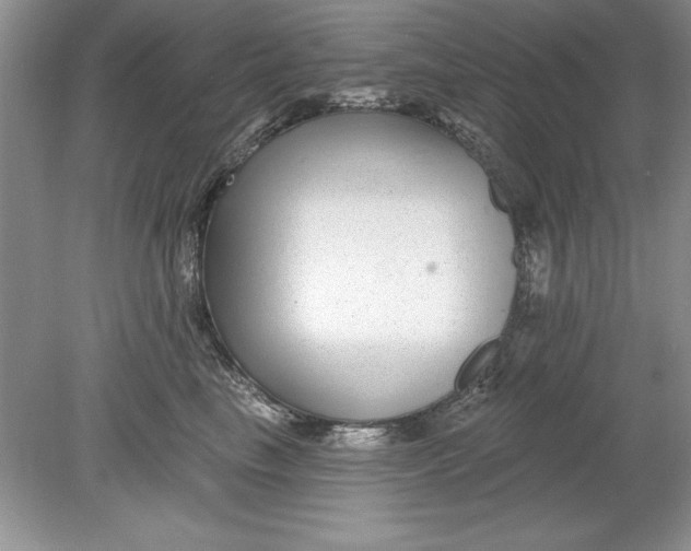 X0000078870665200612041959