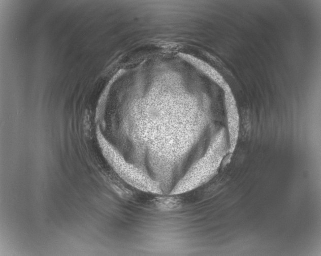 X0000078870667200612041959