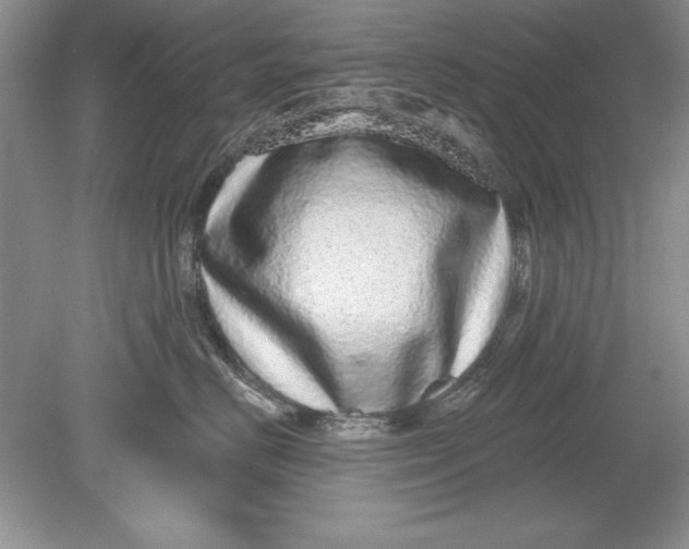 X0000078870670200612041959