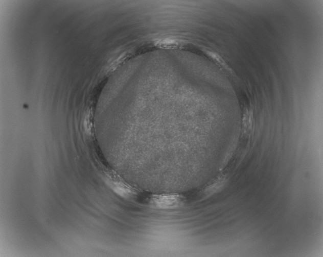 X0000078870671200612041959