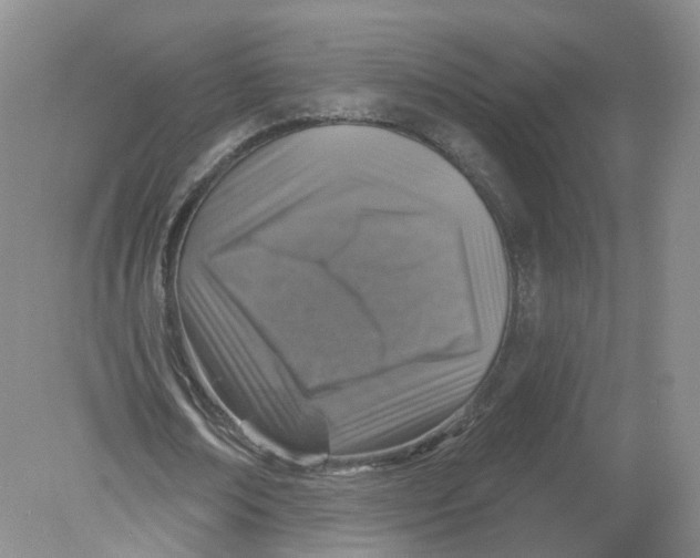 X0000078870674200612041959