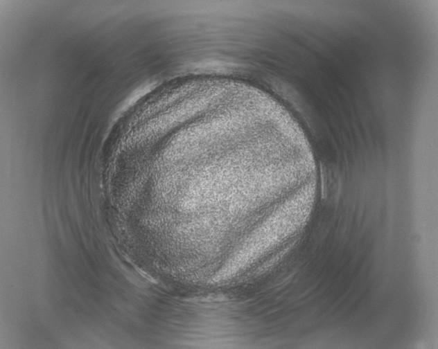 X0000078870675200612041959