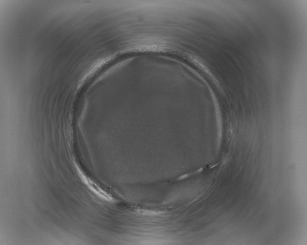 X0000078870677200612041959