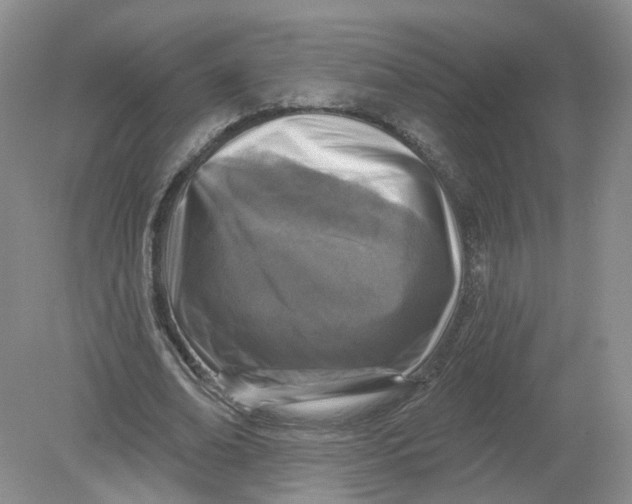 X0000078870678200612041959