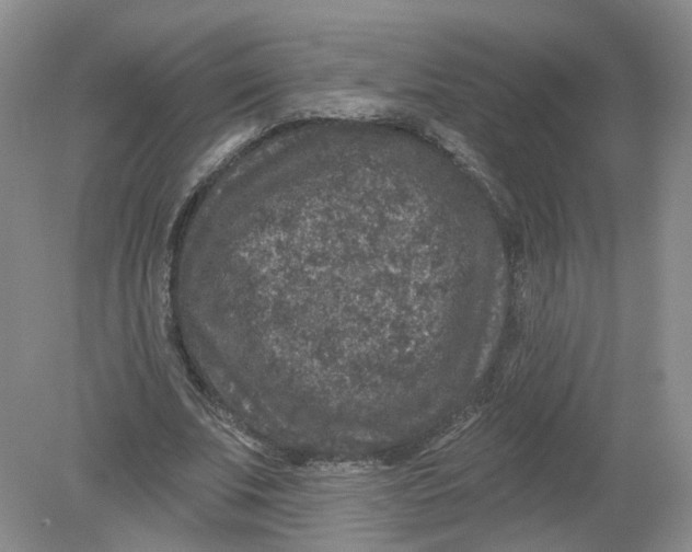 X0000078870679200612041959