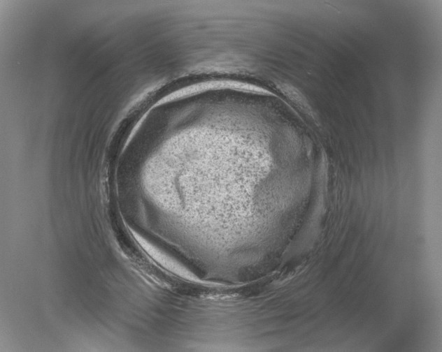 X0000078870680200612041959