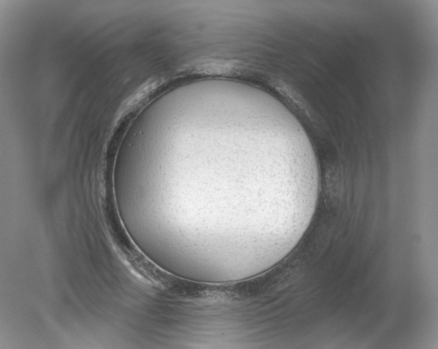 X0000078870682200612041959