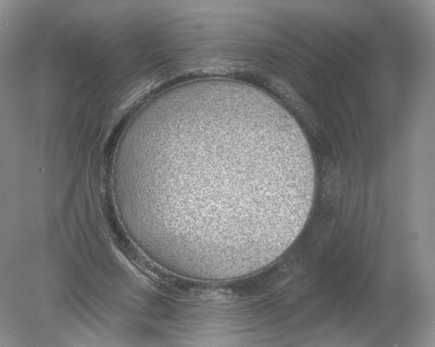 X0000078870683200612041959