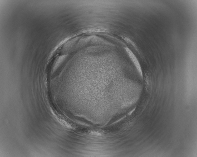 X0000078870684200612041958