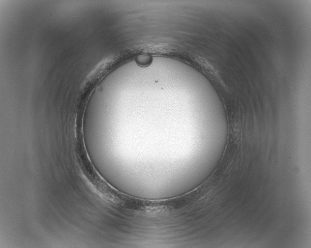 X0000078870686200612041958