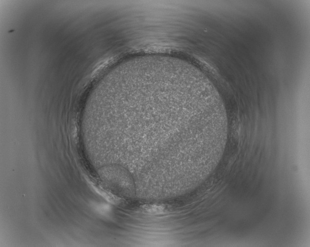 X0000078870687200612041958