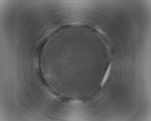 X0000078870689200612041958