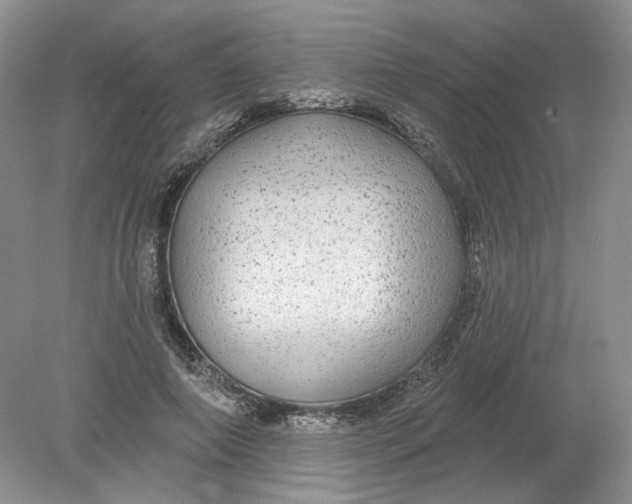 X0000078870690200612041958