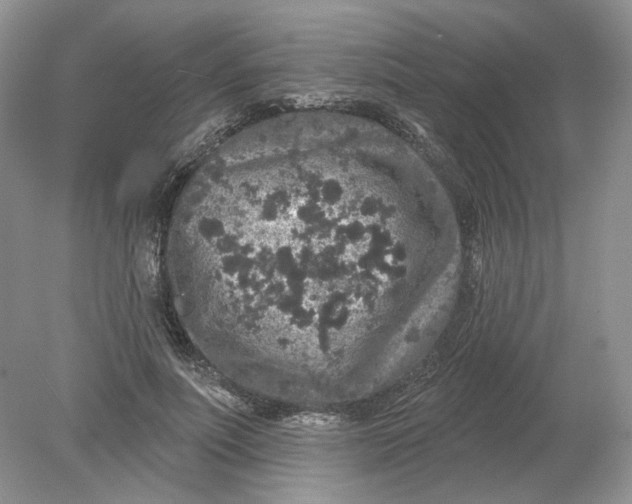 X0000078870691200612041958