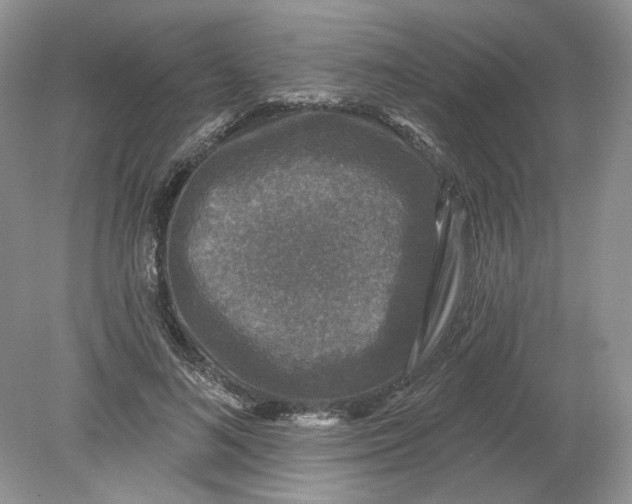 X0000078870692200612041958