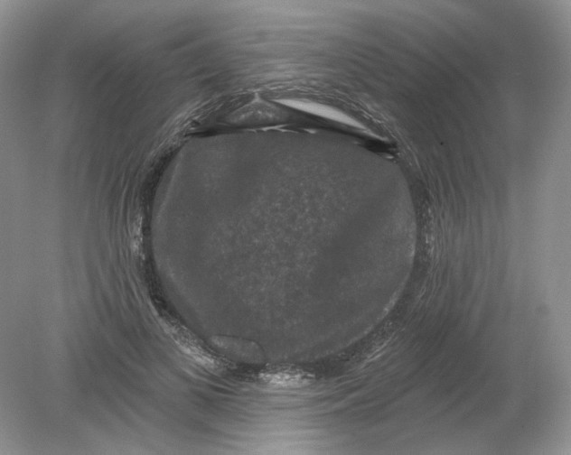 X0000078870693200612041958