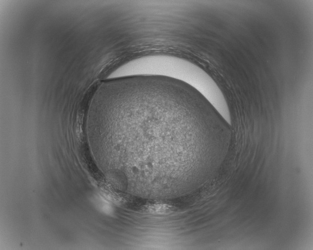 X0000078870695200612041958