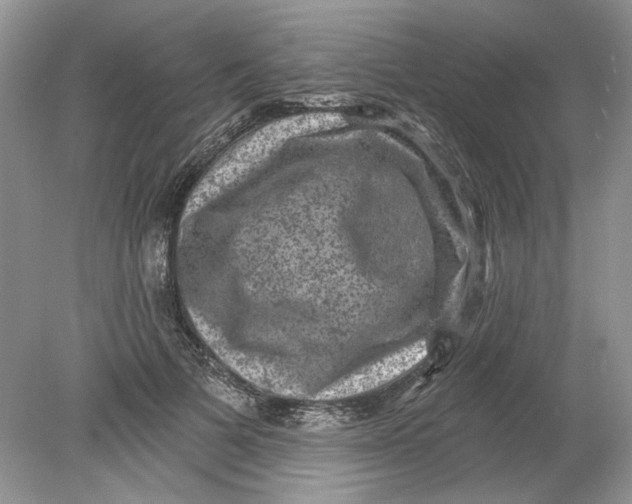 X0000078870697200612041958