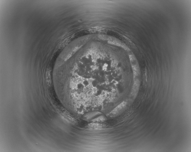 X0000078870699200612041958