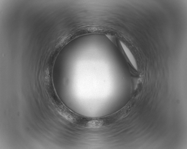 X0000078870700200612041958