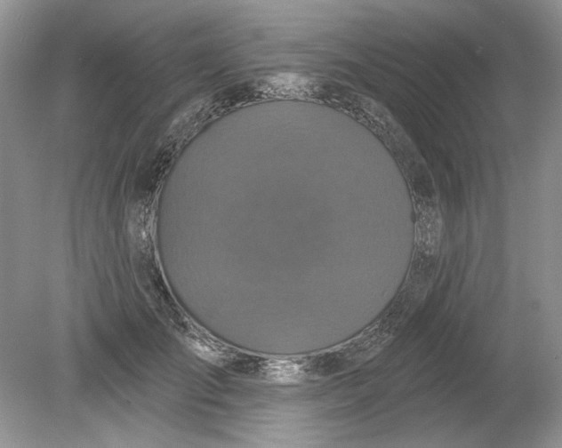 X0000078870701200612041958