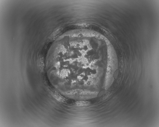 X0000078870707200612041958