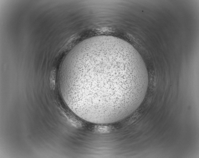 X0000078870710200612041958