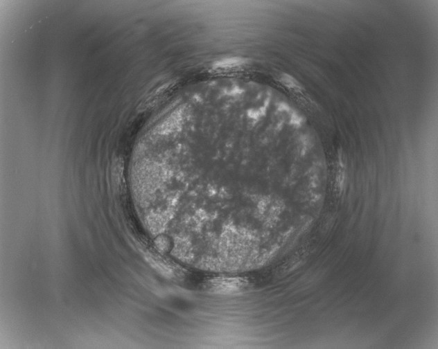 X0000078870711200612041958