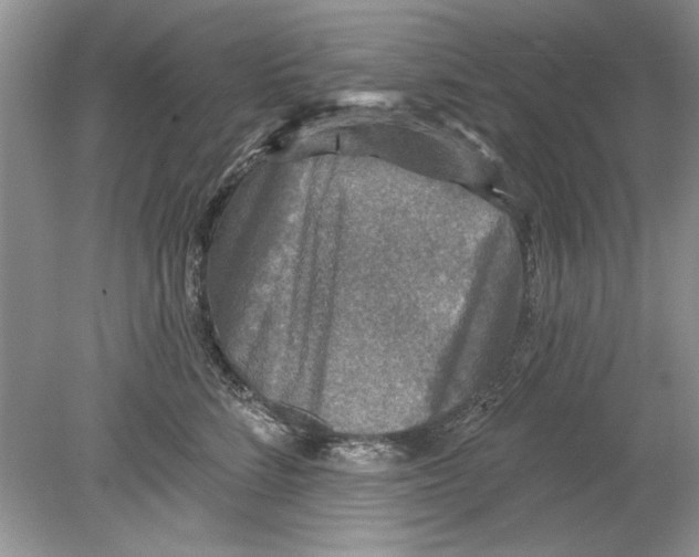 X0000078870712200612041958