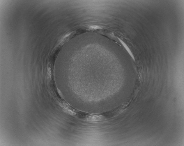 X0000078870716200612041958