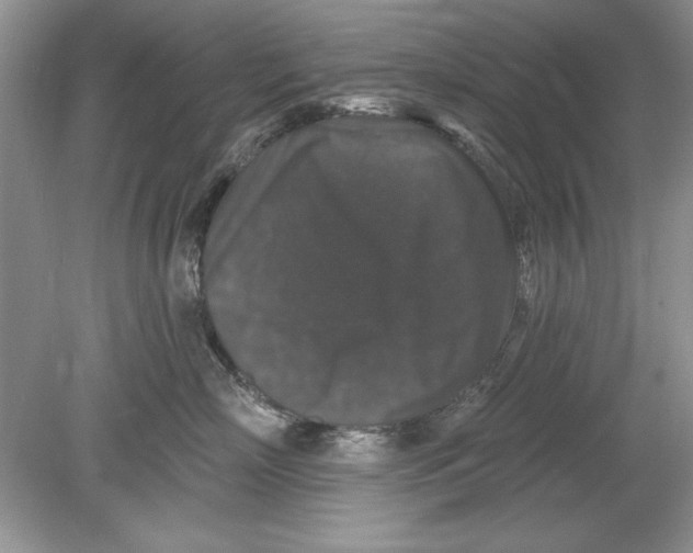 X0000078870718200612041958