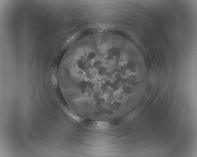 X0000078870719200612041958